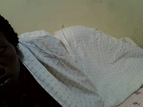prettix webcam