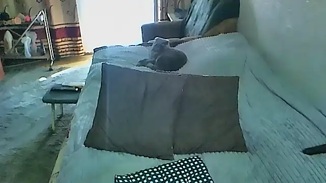 sex2 webcam