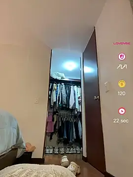Belkaj webcam