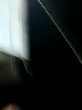 PIGHIGHDIRTY_p0 webcam
