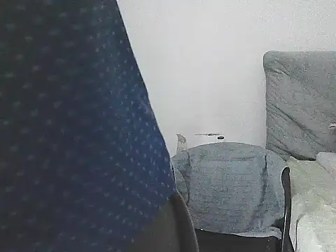 IronSideBear webcam