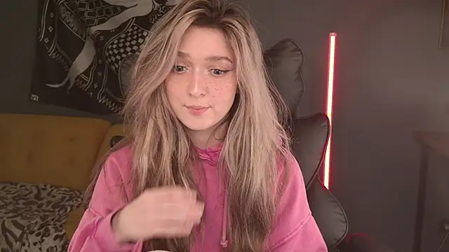 BellaSink webcam