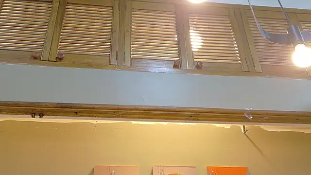 kaiawhite webcam