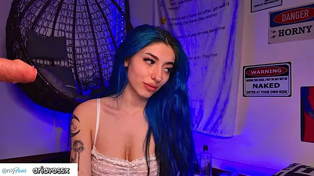 AriaVoss webcam