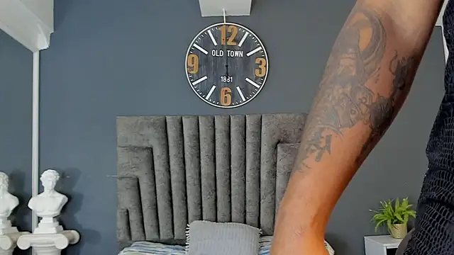 Robin_Rief webcam