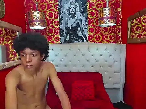 PEINBOYS webcam