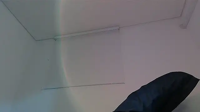 milkoffe webcam