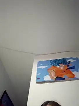 IrisBound webcam