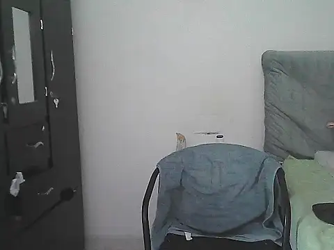 IronSideBear webcam