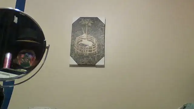 hailzeffn webcam