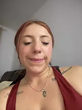 Sofhi_a20 webcam