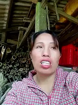 Gummiesu webcam