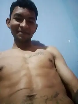 averth webcam