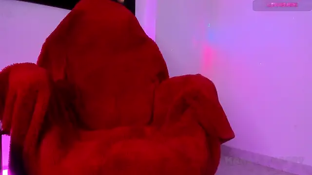 Fenix__0729 webcam