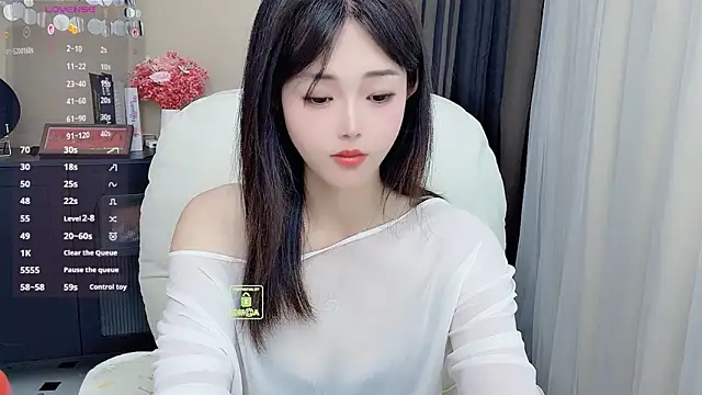 CeeKie webcam