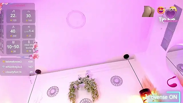 nao_bell_ webcam