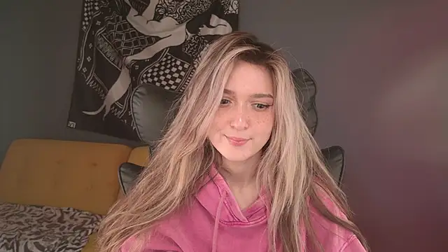BellaSink webcam