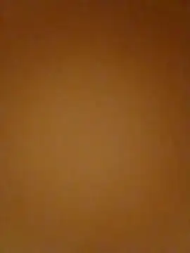 Tieuthu2 webcam