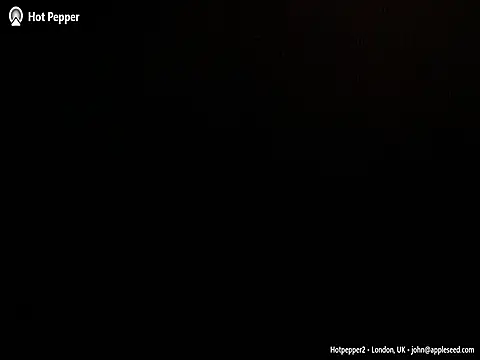 cuteydolly webcam