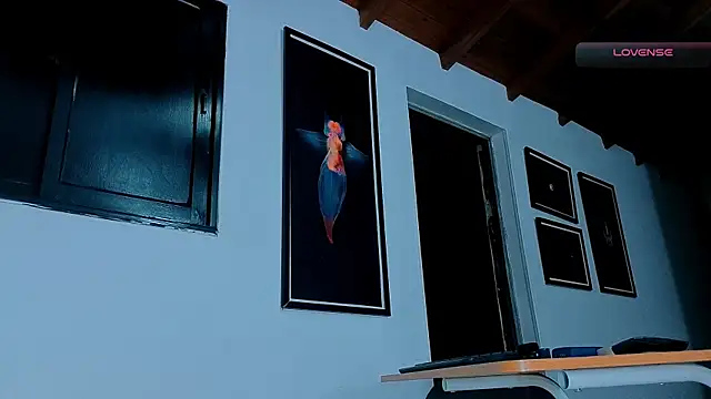 SilvaBranko webcam