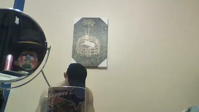 hailzeffn webcam
