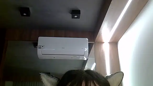 SkinnyKitten webcam