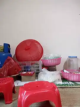 -Tara-a webcam