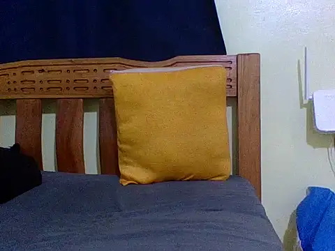 Roseroca33 webcam