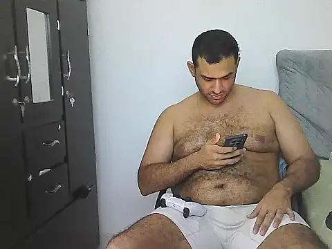 IronSideBear webcam