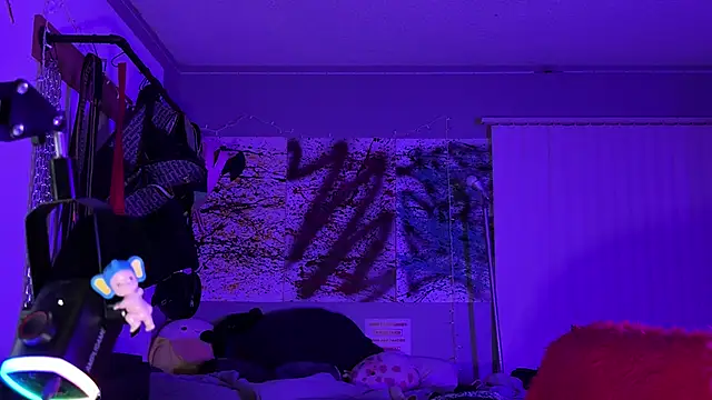 xoFrankie webcam