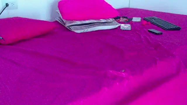 Milytylor webcam