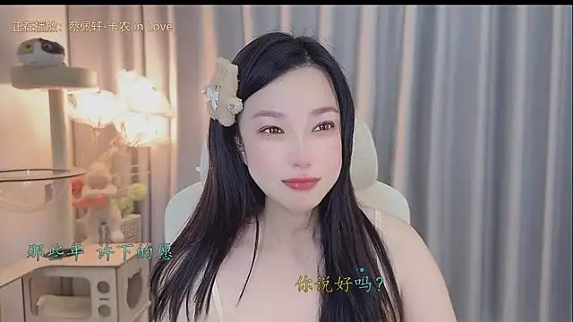 facai-feifei webcam