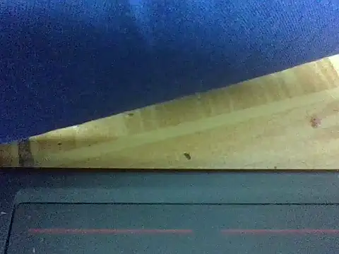 vinsishly webcam