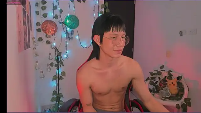 odelei webcam