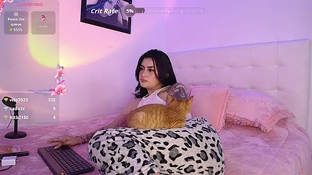 arye_lle webcam