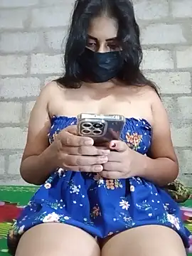 SLNISHU webcam