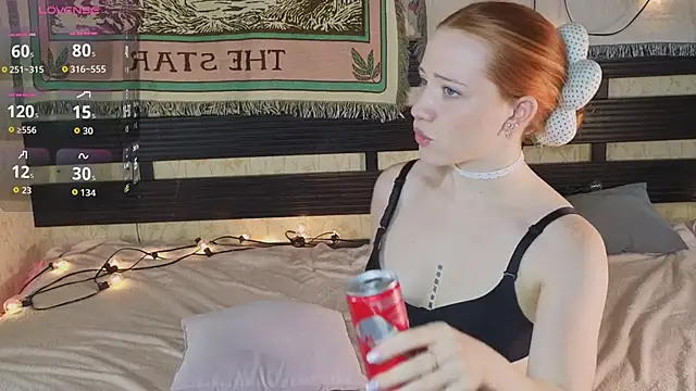 Sparky_fox webcam