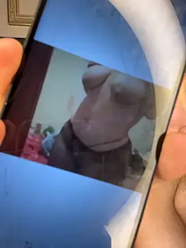 cotton_07 webcam