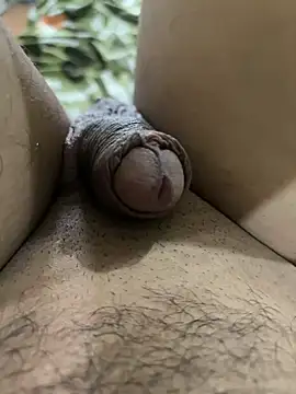 Bombay_boy webcam