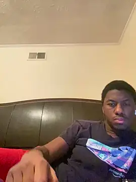 ThickDic28 webcam
