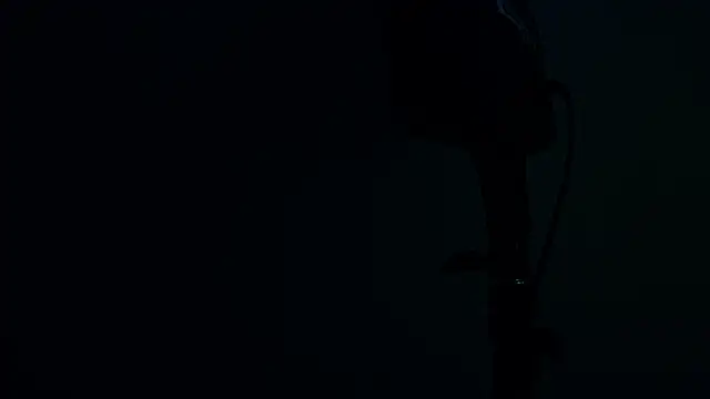 RiriiBrunette__ webcam