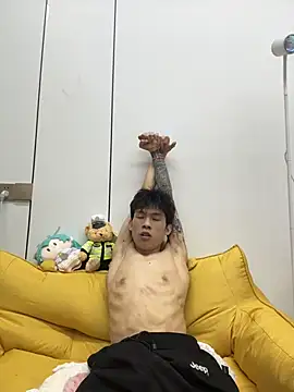 zzzzppp3 webcam
