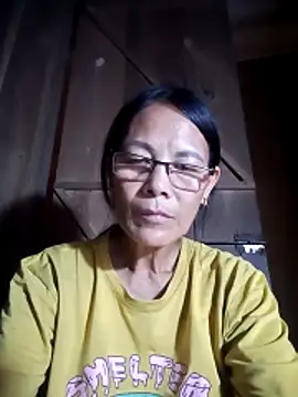 toyo_668 webcam