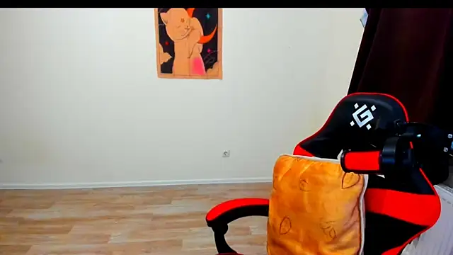 your_tora webcam
