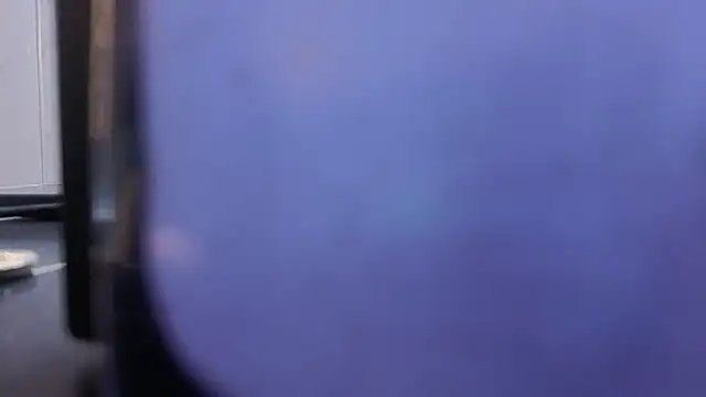 Kitten_Cam webcam