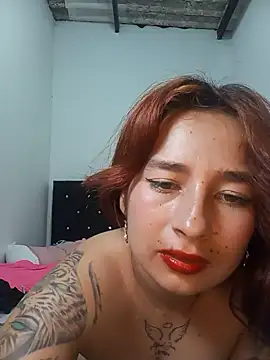 Marcelincam webcam