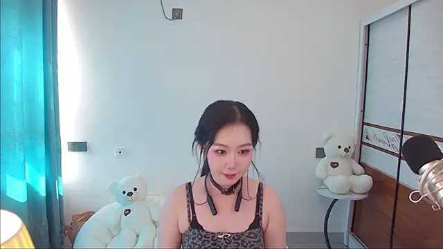 swie111 webcam