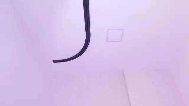 _carolina_fox webcam