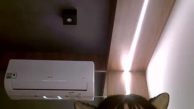 SkinnyKitten webcam