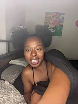 TinyBlazian901 webcam